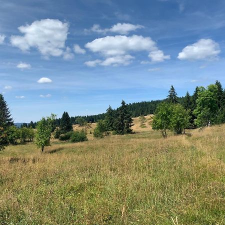 Ubytování u Matěje Horní Blatná Exterior foto