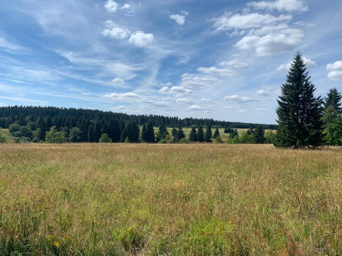 Ubytování u Matěje Horní Blatná Exterior foto
