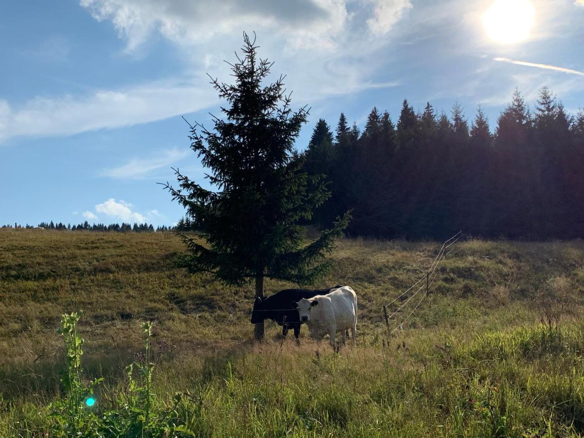 Ubytování u Matěje Horní Blatná Exterior foto