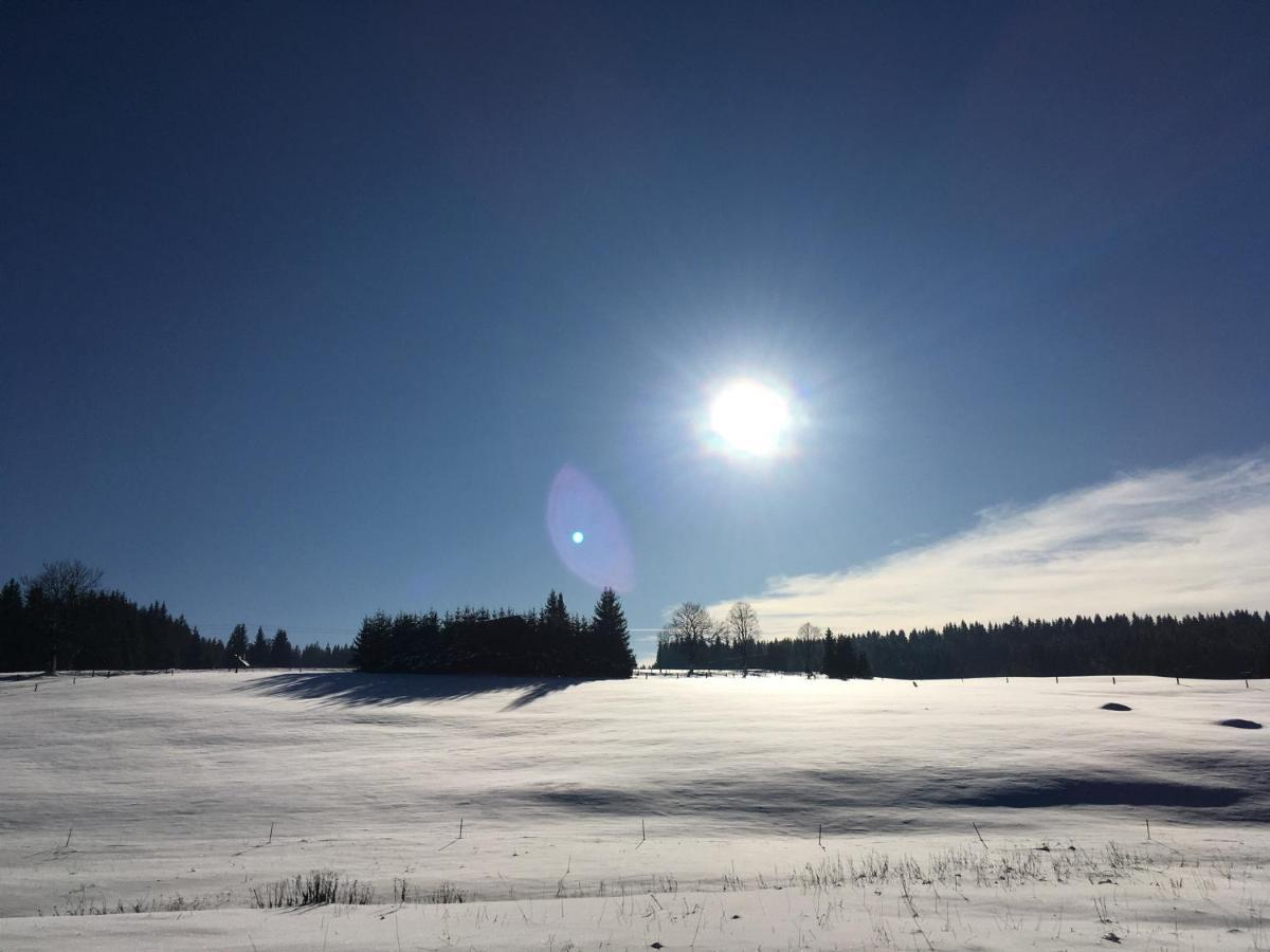 Ubytování u Matěje Horní Blatná Exterior foto