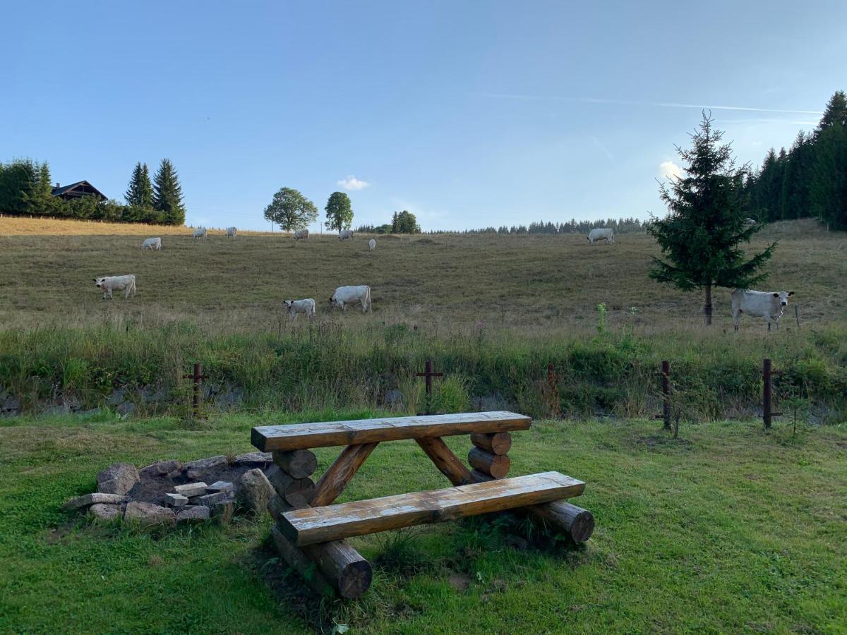 Ubytování u Matěje Horní Blatná Exterior foto
